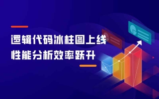 逻辑代码冰柱图上线,性能分析效率跃升